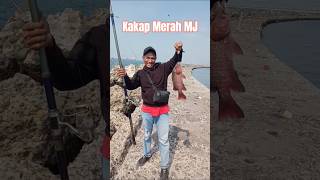 Download lagu Mancing Dam Merah Pelabuhan Tanjung Priok Terkini #mancingdammerahtanjungpriok #mancingdamijo mp3