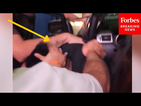 RAW VIDEO: Camera Captures Moment When Driver Who Plowed Into L.A. Crowd Is Pulled From Car & Beaten
