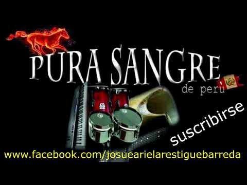 Elder's Honor Song pista