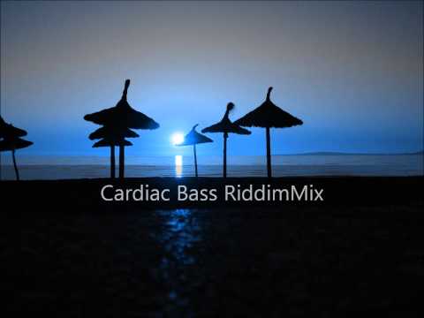 Cardiac Bass Riddim Mix 2012+tracks in the description