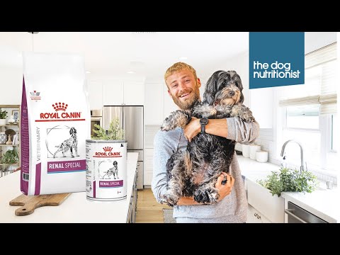 Royal Canin Renal (Kidney) Dog Food Review - The Dog Nutritionist