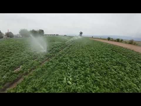 SUR TUCUMANO - SEPTIEMBRE 2025