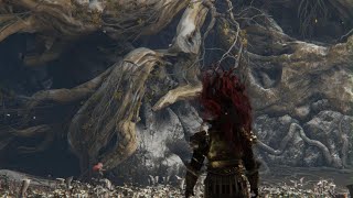 ELDEN RING マレニア戦