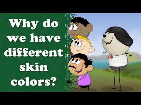 Why do we have different skin colors? | It's AumSum Time