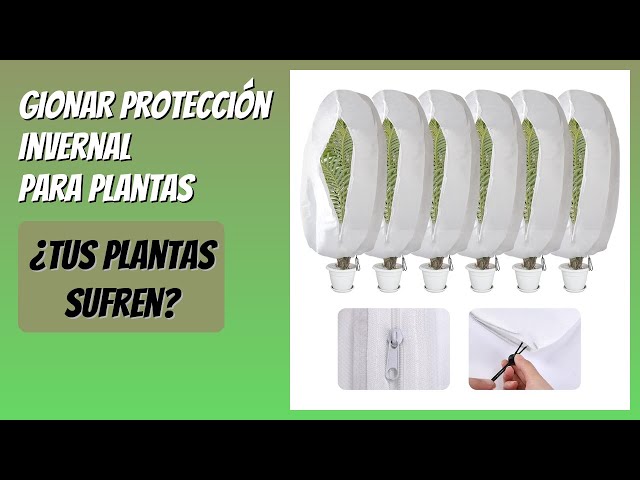 Vídeo relacionado con Kivivaka Paquete de 5 fundas protectoras de doble capa para protección de plantas, maceta térmica para película de aislamiento de invierno, cuidado del jardín, 20 x 80 cm