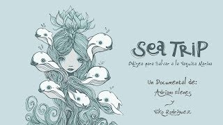 Sea Trip: Odisea Para Salvar a la Vaquita Marina