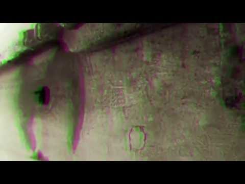 Video thumbnail for Kreacjonizm