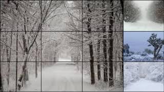 Lamb - Trans Fatty Acid (K&amp;D Session 1998)