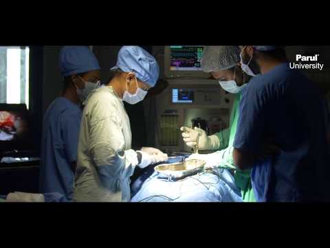 Parul University General video thumbnail 139