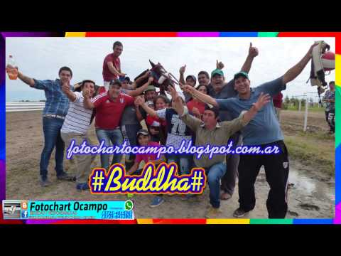 BUDDHA, Las Garzas SF 23 04 2017