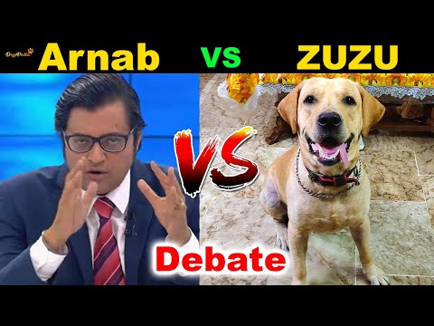 Arnab VS Zuzu the Labrador DEBATE!! | Dogs Ki Dunia Ep: 8