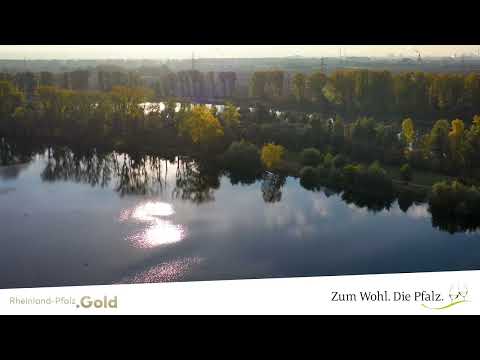Pfälzer Geheimtipps - Silbersee Bobenheim-Roxheim
