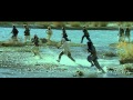 Forces Spéciales Stéphane Rybojad Teaser