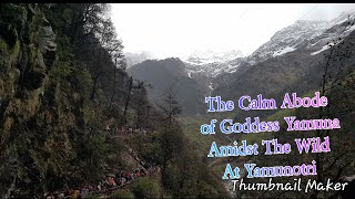 preview picture of video 'Way to Yamunotri,Uttarakhand Trip Part-02'