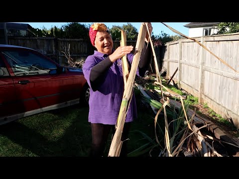 Secret to long life and healthy teeth - older age fitness