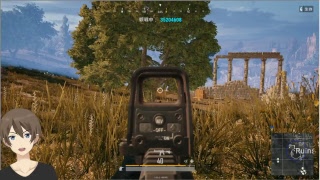 PUBG ぱぷじー