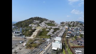 鯖江・西山公園