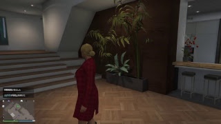 ［GTA5]何をするかは未定
