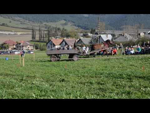 VIDEO: II.ročník Furmanské preteky v Martinčeku