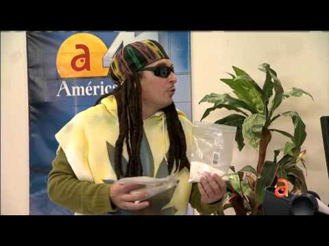 El security del canal 41 - América TeVé