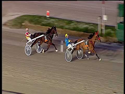 Trotto 22/11/2019 - 2ª prova di qualifica