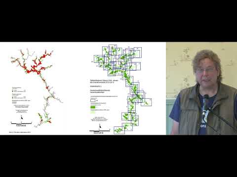 Liito-orava-LIFE: Koirien käyttö liito-oravakartoituksessa – työpajatallenne osa 1