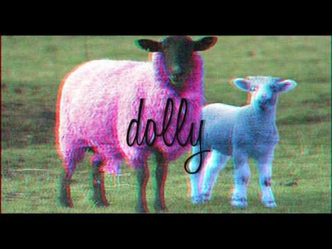 Sien - D O L L Y 's