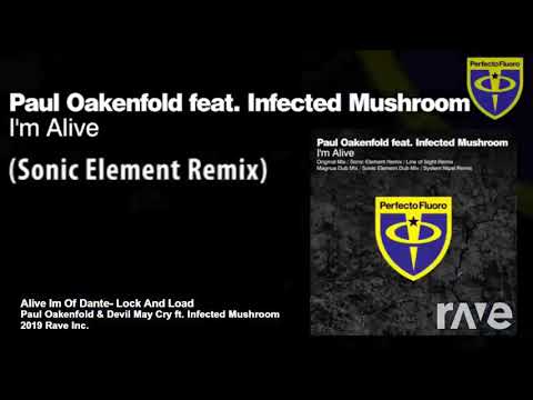 Paul oakenfold Infected Mushroom + Devil may cry Lock and load