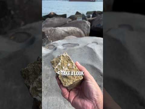 There is a beach in Brazil, in the island of Ilhabela, that has lots of this weird kind of rock!