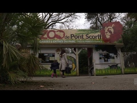 download lagu mp3 mp4 Bretagne Zoo, download lagu Bretagne Zoo gratis, unduh video klip Bretagne Zoo