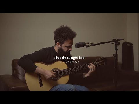 Flor de Tangerina - Alceu Valença (Stefano Mota)