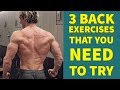You NEED To Try These Back Exercises | Tutorial Tuesday with Shaun Stafford