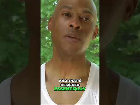 Unlocking the Power of Essential Nutrients: The Ultimate Guide to Optimal Health