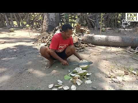 Progres Jl. Tani Dusun 2 Tae Kiu, dan Jl. Tani Dusun 2 Niuf Muti. Desa Oenino Kec. Oenino Kab. TTS