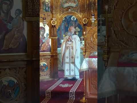 Pr. Nicodim 16.01.2022