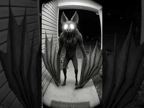 99 Nights in the Forest… In REAL LIFE?! 😨