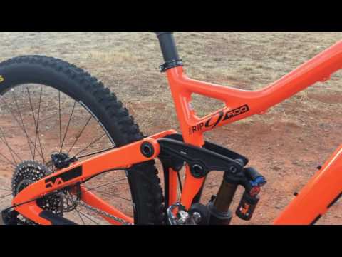 Niner RIP 9 RDO, Pro Bike Check, Alex Petitdemange
