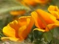 Na Maang Liya Gora Full Song HD Kaise Kaise Rishte 1