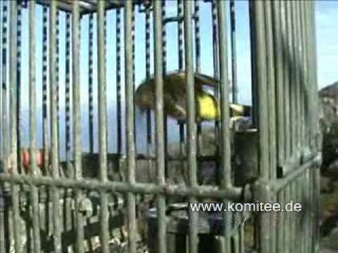 Rotkehlchen am Spieß - Vogeljagd in Italien - Die Arbeit des Komitees gegen den Vogelmord