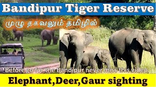 Bandipur Tiger Reserve Tamil | Bandipur Jungle Safari full details | Animal Sighting,Safari Booking