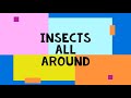 Rhymes- Insects All Around By Rita Ma'am