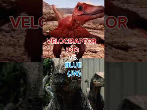 Velociraptor (Dinosaur Revolution) vs. Blue (Jurassic World) #dinosaurrevolution #jurassicworld