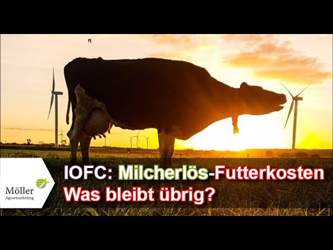 Kühe melken und 10.000,- € sparen? Wie hoch sind Futterkosten der Kühe und der IOFC?