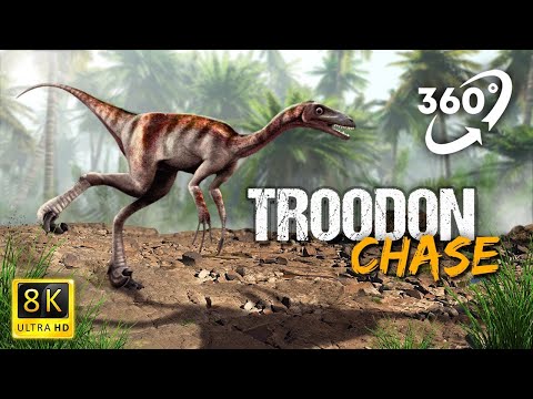 VR 360 Jurassic Troodon Dinosaur Chase | Virutal Reality video in Night Jungle | #7