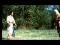 North Shaolin Kicker II