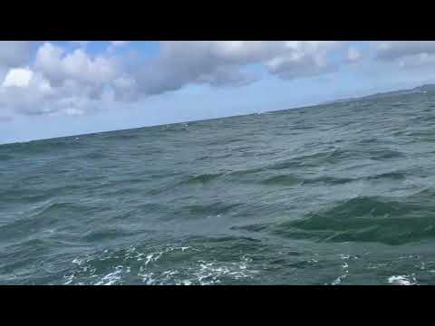 H-35 Artekno Sailingboat for sale | Denmark | Scanboat