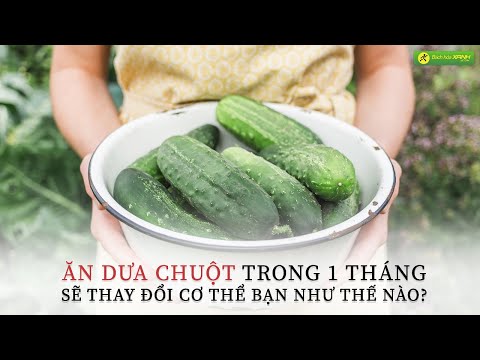 Ăn dưa chuột liên tục trong vòng 1 tháng sẽ thay đổi cơ thể bạn như thế nào?