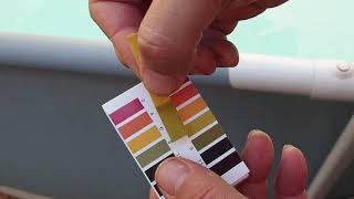 ¿Medir bien el Ph con este Papel Tornasol  - Geekerchip - 400 tiras