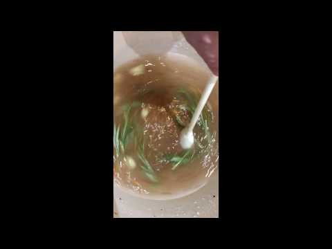 Super Serious Cooking and brine