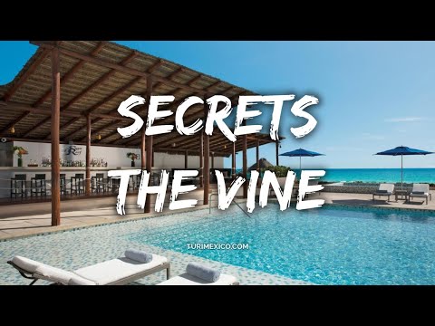 Videos del Secrets The Vine Cancun 5★ en Cancún, MéxicoVer MásVerPrecios21CerrarConsulta por Whatsapp 🇦🇷BookingTripadvisorExpediaAgodaTravelocityOrbitzPricelineTripSkyscannerDespegarKayakHotelesBestdayDestiniaTrivagoTurismocityAlmundoLastminuteHotwireTuiWotif